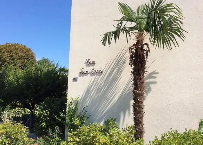 Magnolia By Fewotessin